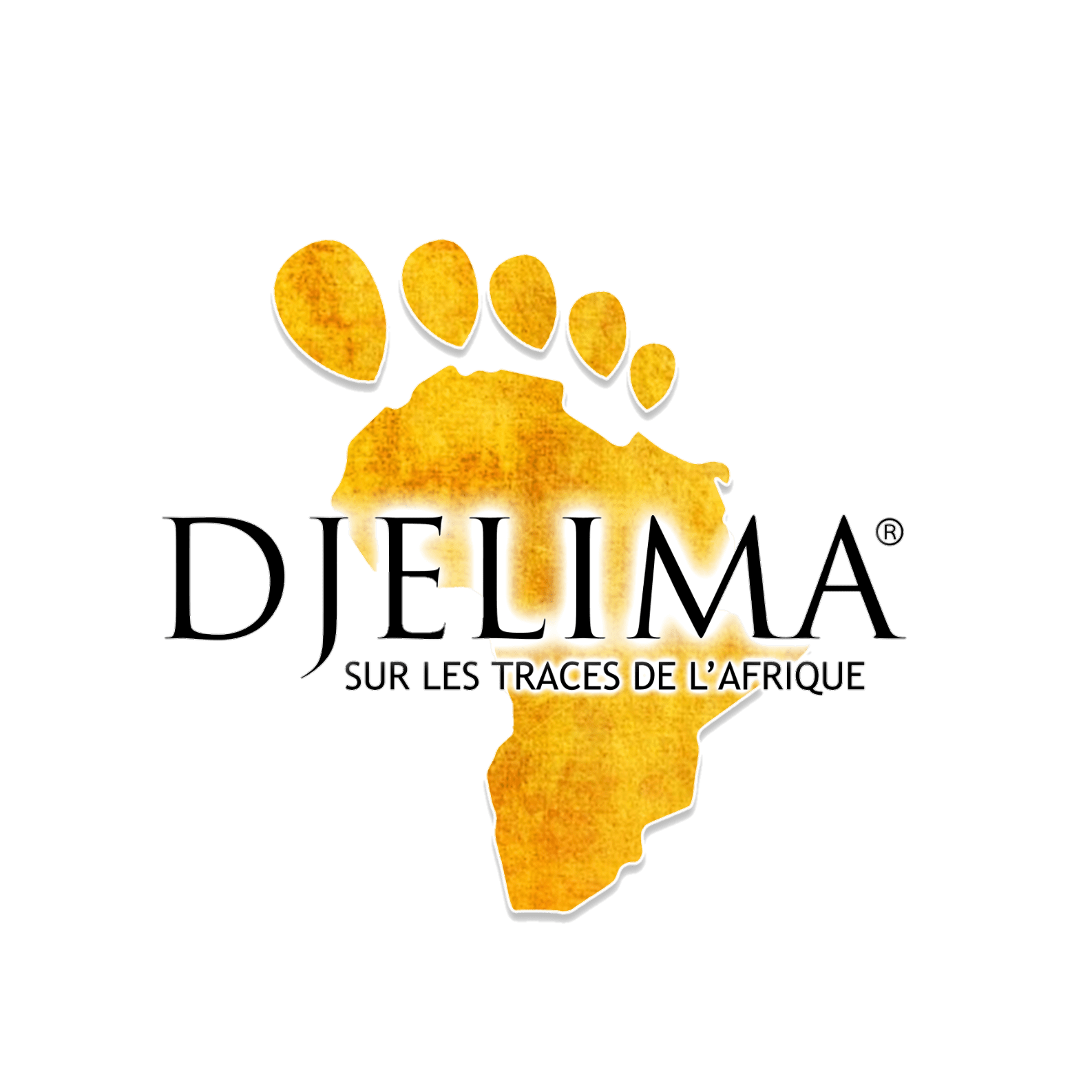 Clients & Testimonials - They Love us 4 Geek Digital Client Association Djelima